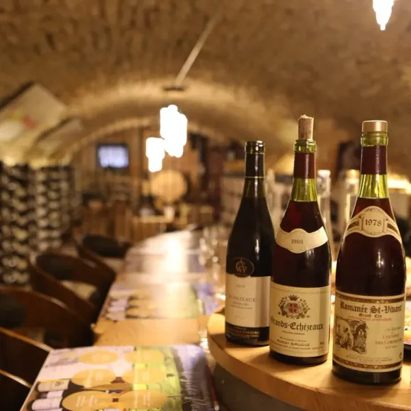 Four bottles of wine on a counter in a lit wine cellar, with shelves filled with bottles in the background.